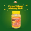 Terasi Udang Ny. Siok Matang / Terasi Matang Siap Pakai  – Bumbu Masakan Khas Indonesia